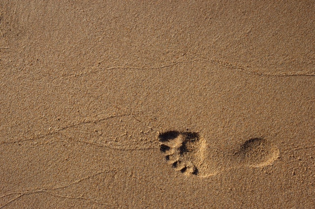 10 ways to reduce ecological footprints