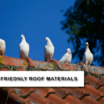 Eco-friendly roofs