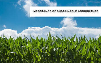 Importance of sustainable agriculture
