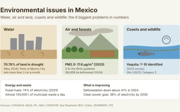 Infographic of environmental issues in Mexico: panels for water, air and land, coasts and wildlife with key figures on drought, subsidence, PM2.5, forest loss and the vaquita
